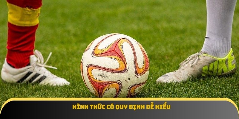 Hình thức có quy định dễ hiểu